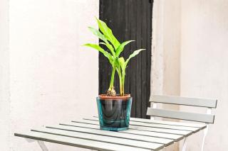 The Perfect Queensway Studio Apartment - London - 6