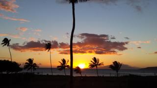 Maui Sunset B122 - Kihei - 8