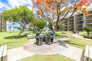 Maui Sunset A315 - 4