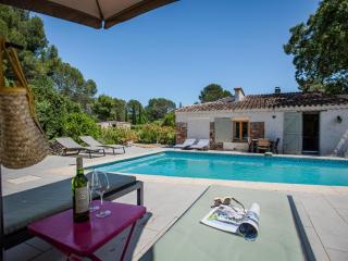 Pin Parasol - Roquebrune-sur Argens - 9