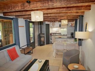 Waterfront Cottage with pond - Métairies-Saint-Quirin - 1