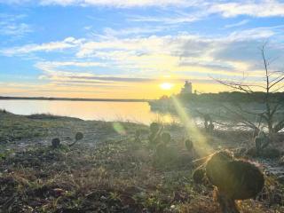 Blue Fox Cottage - Lakewood Harbor - 5
