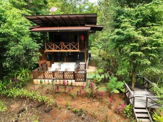 Finca Encanto Eco Lodge - Sierpe - 9