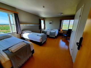 Víðines Guesthouse - Reikiavik - 9