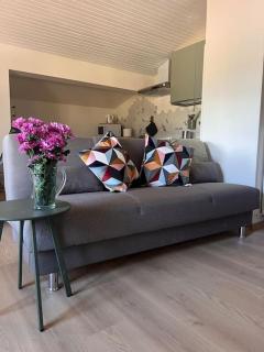 Lake it easy - Little attic - Mandello del Lario - 2