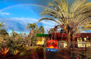 Big Island Getaway - Pahoa - 1