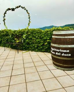 Agriturismo Pian Del Duca - Vesime - 8