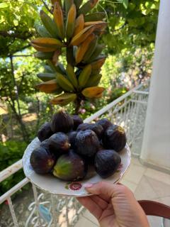 Uzeiri’s Houses - 7