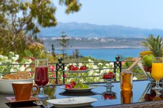 Villa Plumeria Flower - 5