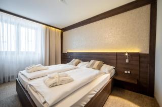 Wellness Hotel Jason - Vršatské Podhradie - 1