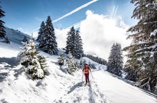 Corina CN11 QUIET & MOUNTAIN 4 Pers - Châtel - 1