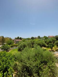 Xi View Apartments - Lixouri - 3