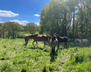 Pause campagne - - 1