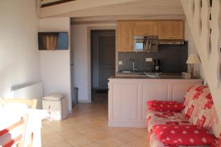Fermes FMA23 COSY & MOUNTAIN 5 Pers - Châtel - 0