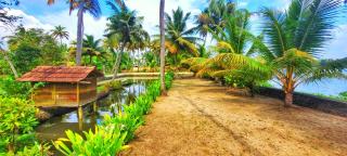 Ameya Kerala - 7