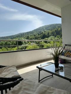 Relax View Ap with Private Parking - Sinaia - 8
