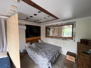 Bel appartement dans une maison - Cannes - 5