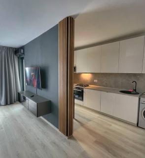 Panoramic Studio 464 - Bucharest - 2