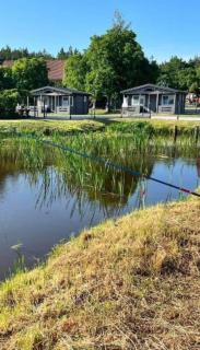 Sosnowy Zakątek Stegna- wędkowanie, rowery, plac zabaw - 9