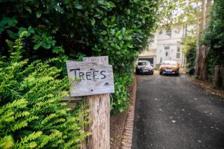 Trees Annex - Bexhill - Bexhill - 8