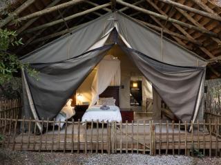 KwaMbili Game Lodge - Wildreservat Thornybush - 1