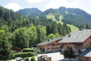 Portes Du Soleil PSB204 TELECABINE & MOUNTAIN 4 per - Châtel - 1