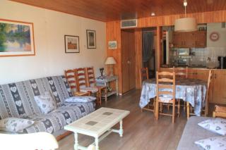 RESIDENCE RSA4 SWIMMING POOL & CENTER 6 pers - Châtel - 0