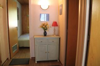 RESIDENCE RSA4 SWIMMING POOL & CENTER 6 pers - Châtel - 3