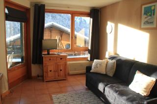 TARTIFLES TF11 NATURE & MOUNTAIN 4 Pers - Châtel - 5