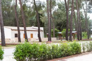 WINE RESORT LE VIGNE AL CASTELLO - Castel del Monte - 5