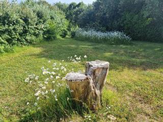 Ocean Breeze Cottage - 5