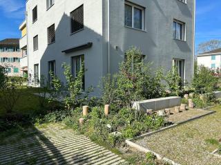 Cozy Modern Charm in Winterthur - 4