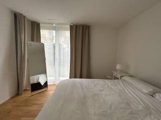 Cozy Modern Charm in Winterthur - Winterthur - 2