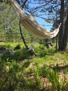 Srce Tornika, Tornik-Zlatibor - 5