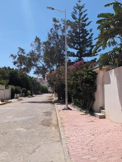 Dar soufia - Nabeul - 2