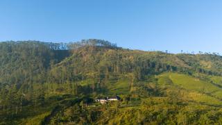 Camellia Hills By Teardrop Hotels - 5