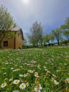 St George B&B - Korenica - 9