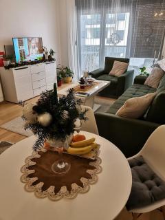 Apartman Kuburica - 9