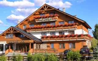 Hotel Alpejski - Polanica-Zdrój - 9