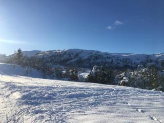 Hardanger Camping Allhovden Mountain & fjord - 9