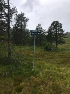 Hardanger Camping Allhovden Mountain & fjord - 8