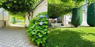 Garden Guesthouse - Gjakove - 3