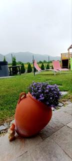 Mountain villa Jordan- with JACUZZI - 4