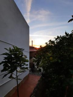 Le tre rose - Maratea - 5