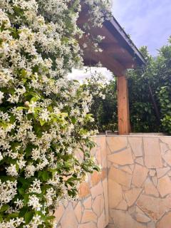 Le tre rose - Maratea - 6