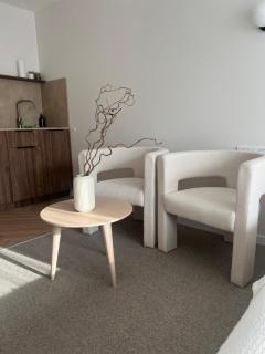 Apartamentai-studija Palangos kopos - Palanga - 8