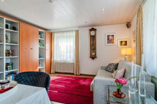 Fewo Wegen - Salem - 3