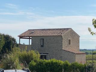Grange au milieu des vignes - Béziers - 4