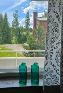 Himoksesta 30km, Halli, asunto 2-3hlöä,B12 - 1