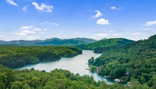 Comfortably Numb - Lake Blue Ridge View - Hot Tub, Game Room, Outdoor Fire Pit, Panoramic Lake Blue Ridge Views - Blue Ridge, GA - Blue Ridge - 9